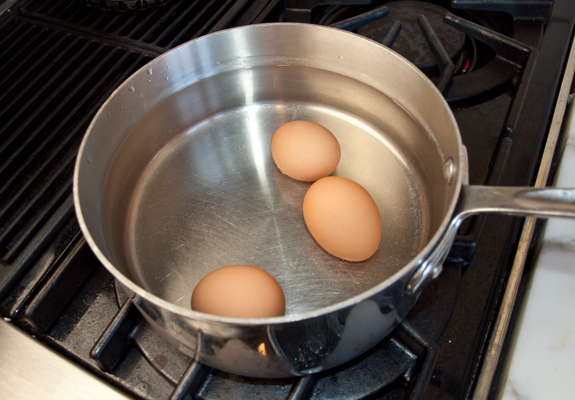Rheo Blair Egg Cooking